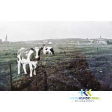 Elten.08 869